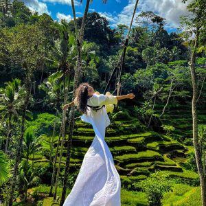 Bali Tegallalang Rice Terrace travel guide by New Asia Tours at https://newasiatours.com/bali-travel-guides/