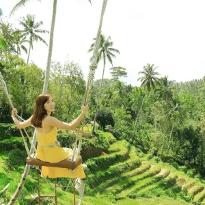 swing3